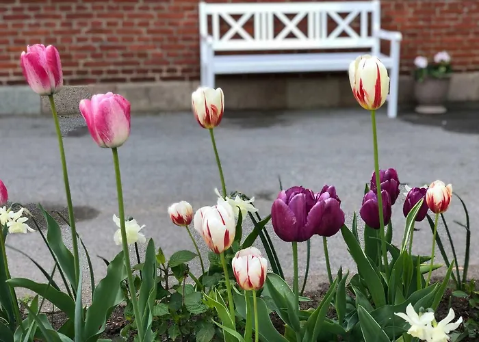 Rolykke Saeby (Nordjylland)